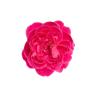 Conditioner Bar Rozenblaadjes &ndash; vegan - plasticvrij