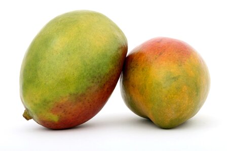 Conditioner Bar Mango - Papaja - 45 gram - Voor droog en krullend haar