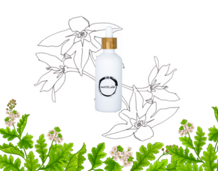 Abessijnse olie  10ml