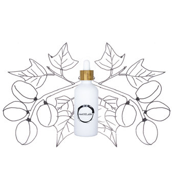 Natuurlijk pure Kukui olie 50 ml in duurzame glazen pipetfles sustOILable