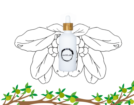 Tamanu olie - Glazen pipetflesje 10ml testformaat