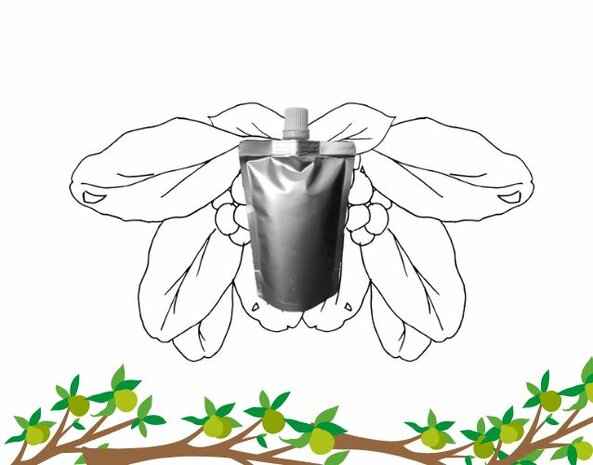 Tamanu olie - Navulling 100ml pouch met schenkmond