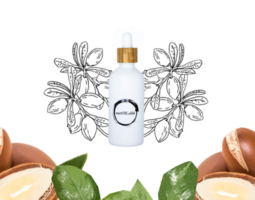 Arganolie - Glazen pipetflesje 10ml testformaat