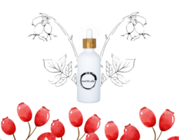 Rozenbottel olie - Glazen pipetflesje 50ml