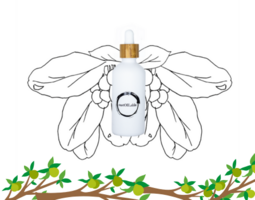 Tamanu olie glazen pipetflesje 50ml